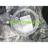 M12-4pin straight M12 4 pin 4pin female Connector Cable PN95 untuk aplikasi otomasi industri M12, STRAIGHT, M12