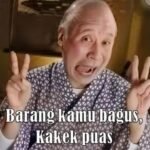 Solid State Relay MGR-1 D4825 MGR-1D 4825 SSR 25A DC 3-32V AC PS68