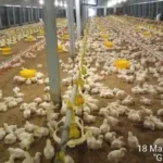 CR18-8AC CR18 8AC CR18 - 8AC CR M18 Capacitive Proximity Sensor PR23